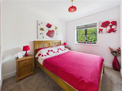 Picture 22
